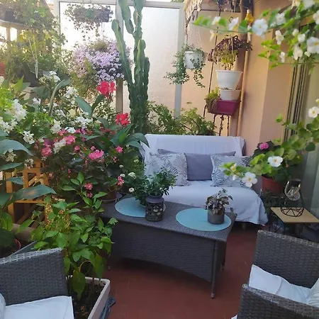 Chambre D'hote De Charme Avec Petit Dejeuner Offert